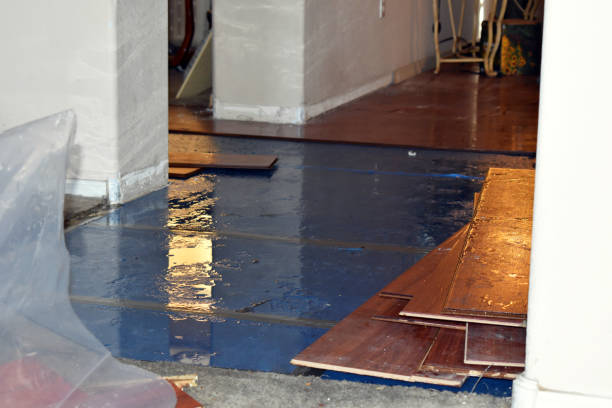 Professional Sewage Cleanup technician working in Redmond, WA